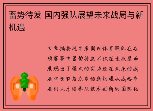 蓄势待发 国内强队展望未来战局与新机遇